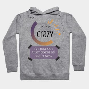 I'm Not Crazy Hoodie